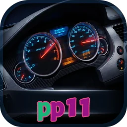 pp11
